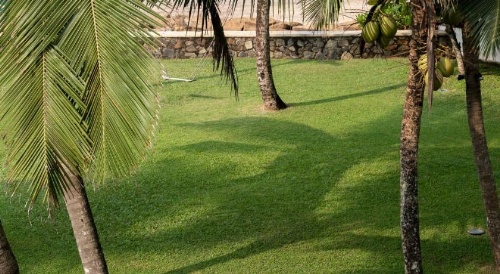 Arabella on Boossa Private Hotel image 14