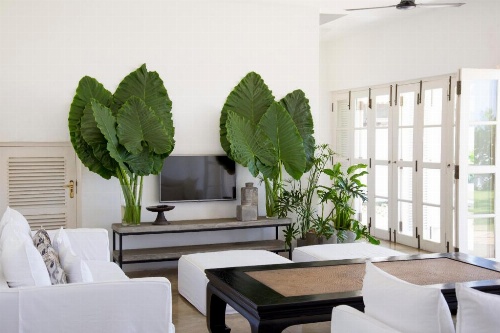 Arabella on Boossa Private Hotel image 35