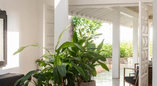 Arabella on Boossa Private Hotel image 44