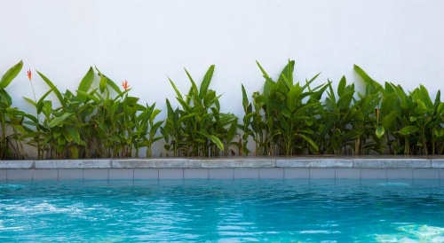 Arabella on Boossa Private Hotel image 5